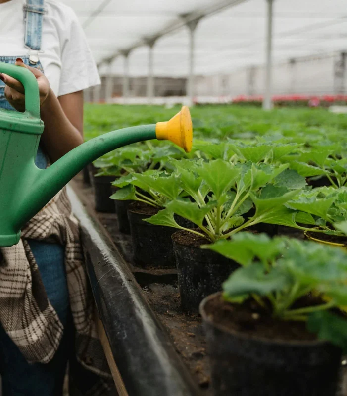 Organic farms avoid toxic inputs, improve soil health, grow clean, sustainable food that supports nature.