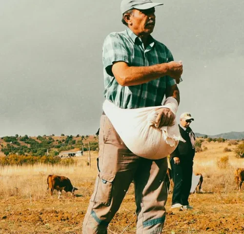 We grow fresh, organic produce using clean methods that protect nature, healthy food.