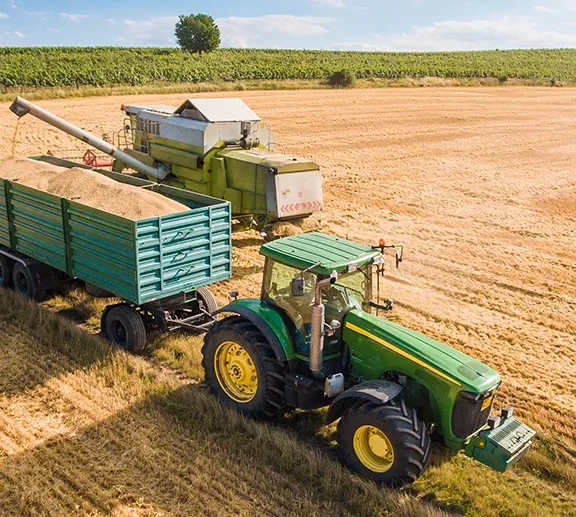 We grow fresh, organic produce using clean methods that protect nature, healthy food.