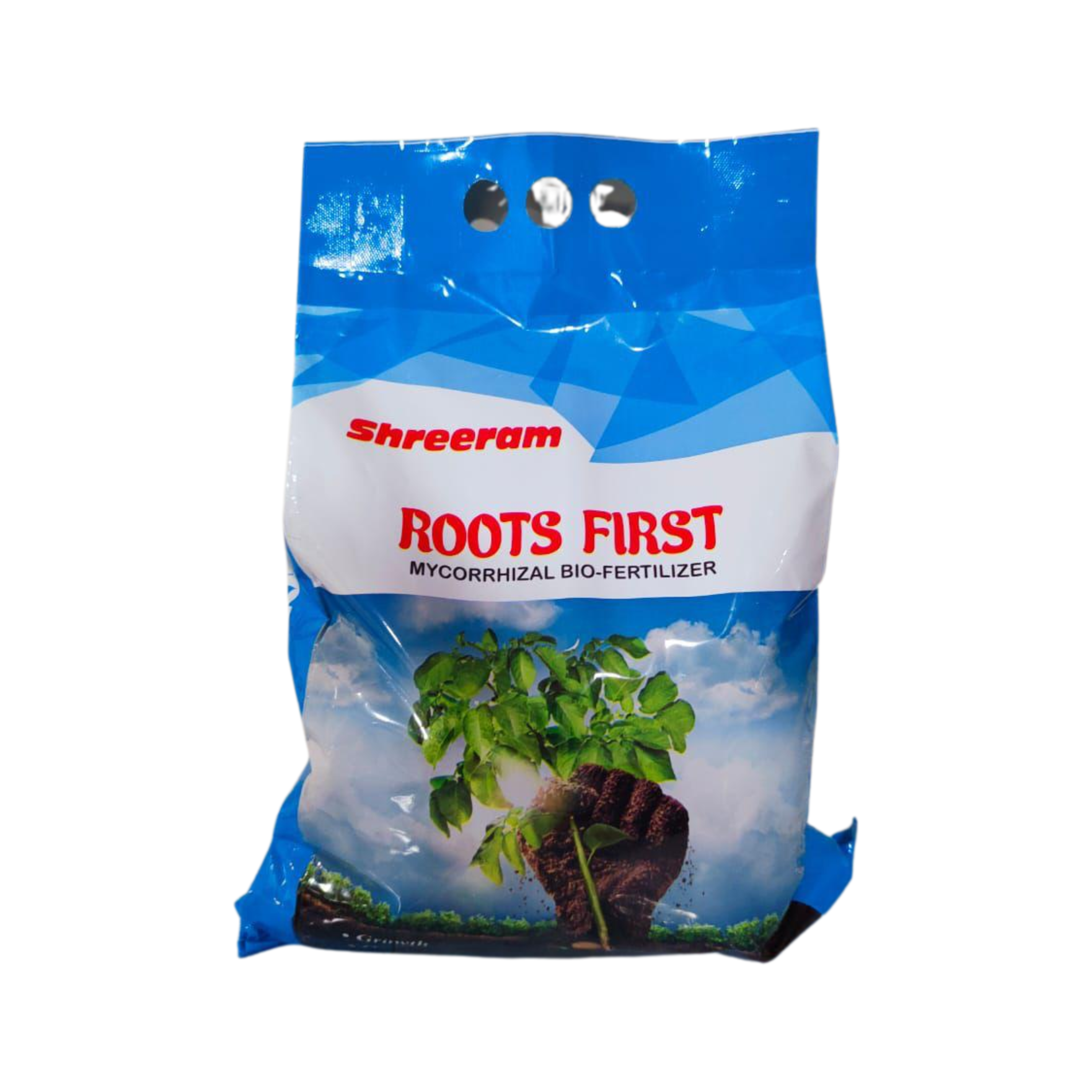 रुट्स फर्स्ट